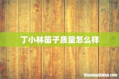 丁小林笛子质量怎么样