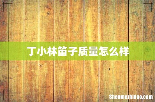 丁小林笛子质量怎么样