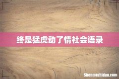 终是猛虎动了情社会语录