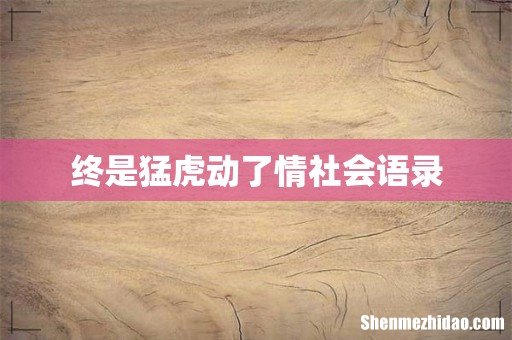 终是猛虎动了情社会语录