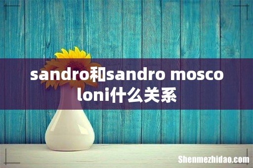 sandro和sandro moscoloni什么关系