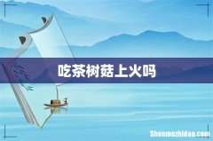 吃茶树菇上火吗
