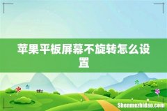 苹果平板屏幕不旋转怎么设置