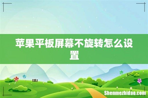 苹果平板屏幕不旋转怎么设置