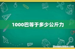 1000巴等于多少公斤力