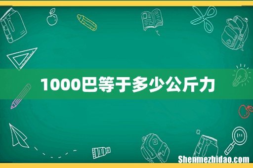 1000巴等于多少公斤力