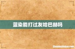 蓝染能打过友哈巴赫吗