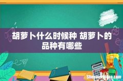 胡萝卜什么时候种 胡萝卜的品种有哪些