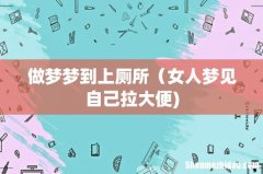 做梦梦到上厕所（女人梦见自己拉大便)
