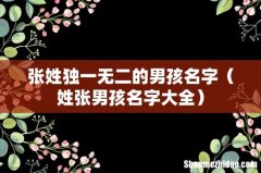 姓张男孩名字大全 张姓独一无二的男孩名字
