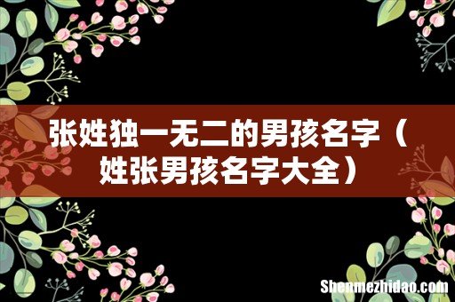姓张男孩名字大全 张姓独一无二的男孩名字