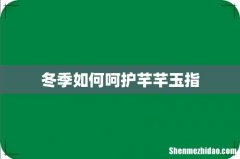 冬季如何呵护芊芊玉指