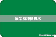 扁架梅种植技术