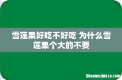 雪莲果好吃不好吃 为什么雪莲果个大的不要