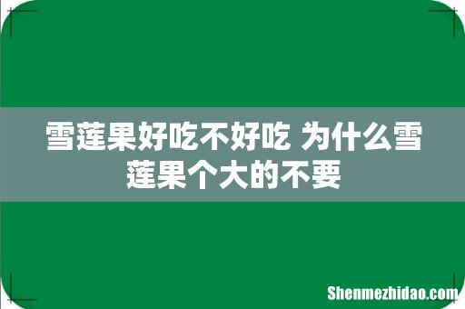 雪莲果好吃不好吃 为什么雪莲果个大的不要