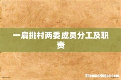 一肩挑村两委成员分工及职责