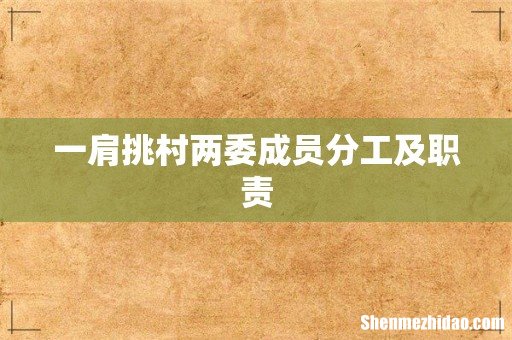 一肩挑村两委成员分工及职责