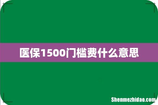 医保1500门槛费什么意思
