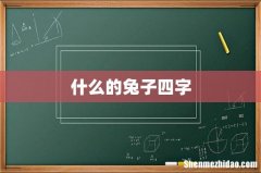 什么的兔子四字
