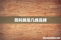 昂科旗是几线品牌