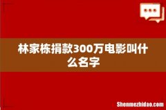 林家栋捐款300万电影叫什么名字