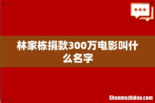 林家栋捐款300万电影叫什么名字