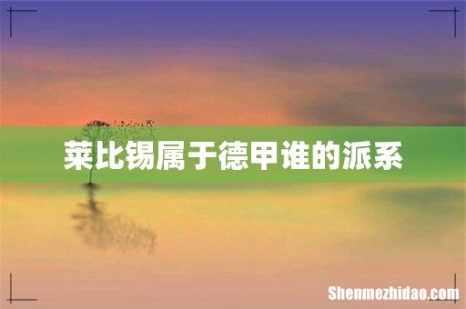 莱比锡属于德甲谁的派系