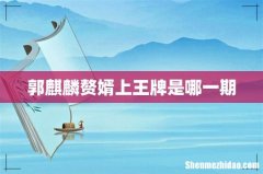郭麒麟赘婿上王牌是哪一期