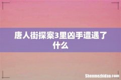 唐人街探案3里凶手遭遇了什么