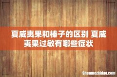 夏威夷果和榛子的区别 夏威夷果过敏有哪些症状