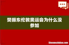 樊振东伦敦奥运会为什么没参加