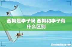 西梅是李子吗 西梅和李子有什么区别