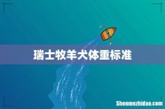瑞士牧羊犬体重标准