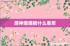 原神爆爆精什么意思