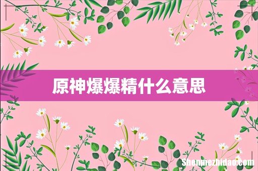 原神爆爆精什么意思