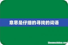 意思是仔细的寻找的词语