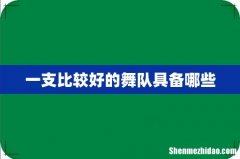 一支比较好的舞队具备哪些