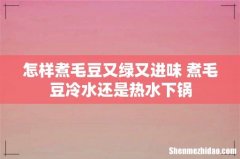 怎样煮毛豆又绿又进味 煮毛豆冷水还是热水下锅