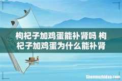 枸杞子加鸡蛋能补肾吗 枸杞子加鸡蛋为什么能补肾