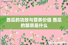 西瓜的功效与营养价值 西瓜的禁忌是什么