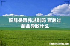 肥胖是营养过剩吗 营养过剩会导致什么