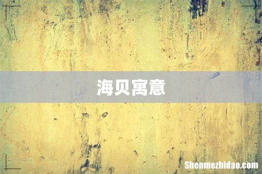 海贝寓意