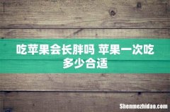 吃苹果会长胖吗 苹果一次吃多少合适