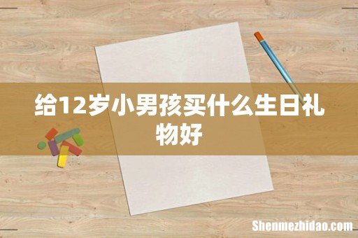 给12岁小男孩买什么生日礼物好
