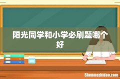 阳光同学和小学必刷题哪个好