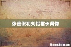 张嘉倪和刘惜君长得像