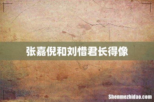 张嘉倪和刘惜君长得像