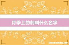 月季上的刺叫什么名字