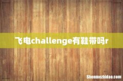 飞电challenge有鞋带吗r