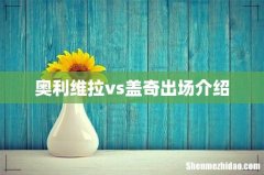 奥利维拉vs盖奇出场介绍